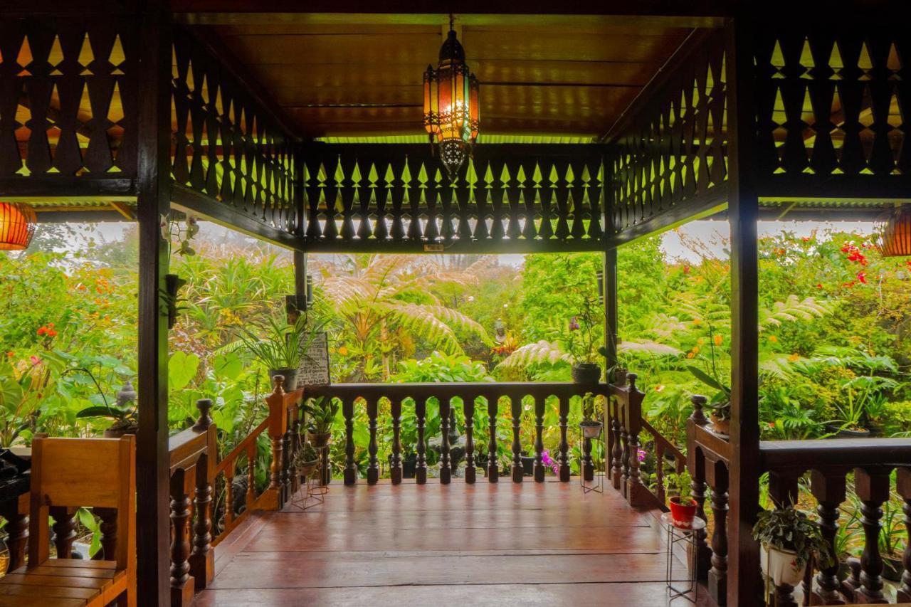 Rumah Kayu Sulawesi Antique بيدوغول المظهر الخارجي الصورة